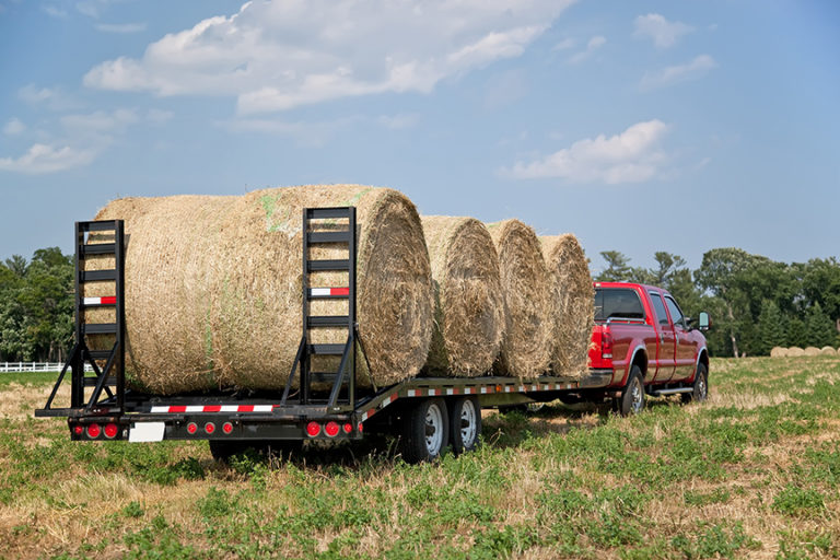 Hay Bales Loaded on Trailer | Iron Bear Trailer